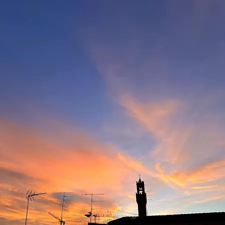 The Tower View App *